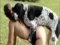 Dalmatian dog public sex with beastiality lover